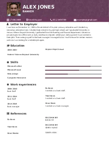   resume example